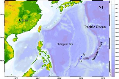 A New Protocruzia Species (Ciliophora: Protocruziida) Isolated From the Mariana Trench Area